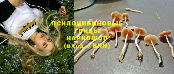 метадон Алексин