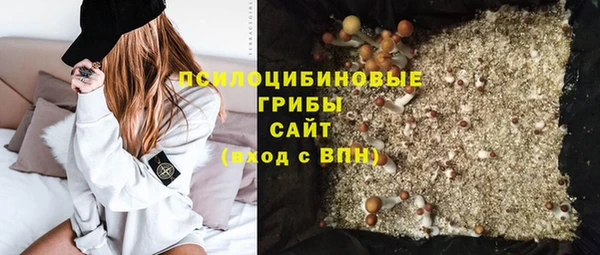 ешки Алзамай