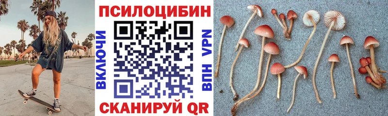 гидра зеркало  Льгов  мориарти наркотические препараты  наркота  Галлюциногенные грибы MAGIC MUSHROOMS 