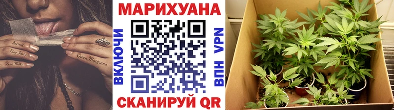 Бошки марихуана Amnesia  Льгов 